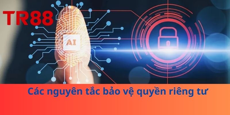 Quyền Riêng Tư – Chìa Khóa Bảo Vệ Dữ Liệu Cá Nhân 2 Các nguyên tắc bảo vệ quyền riêng tư